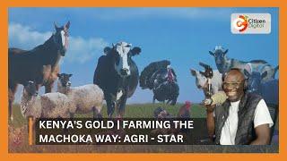  Kenyas Gold  Farming the Machoka way Agri - Star