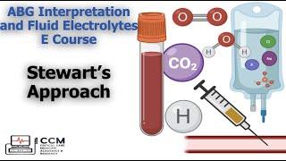 ABG Interpretation and Fluid Electrolytes E Course Stewart Approach