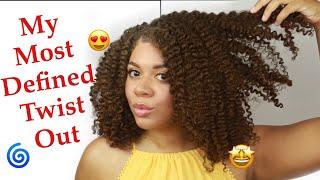 OMG My MOST DEFINED Twist Out EVER Natural Hair Styles