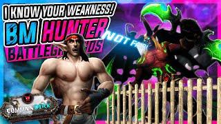 BM Hunter’s WEAPON to DELETE Demon Hunters  World of Warcraft dragonflight  Battlegrounds pvp