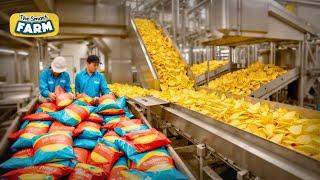 How Potato Chips Are Produced In CRAZY Amounts  Potato Harvesting Factory - Chips Processing Line