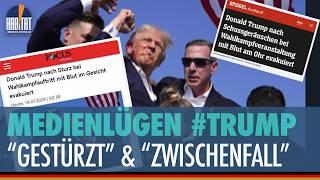 ARD ZDF und Spiegel verdrehen bewusst die Wahrheit - Verharmlosung und Verleugnung #fakenews