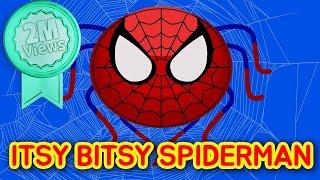 ITSY BITSY SPIDER MAN - Song for Children  Superhero Songs  Super Simple Songs  Incy Wincy Spider