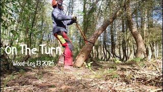 Felling Levers Axes and Timber Cranes.  A Woodland Vlog 13 2024