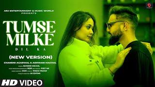 Cover Tumse Milke Dil Ka - New Version  Cover Song 2024  Romantic Hindi Song  Video Song