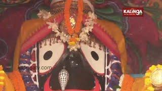 Bahuda Yatra of Lord Jagannath and his siblings held at Nayagarh  Reporter Didi  Kalinga TV