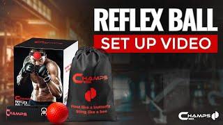 Champs Reflex Ball - Setup