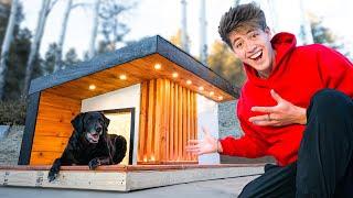 My dogs house was destroyed…so I built her DREAM house