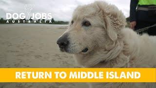 DOG JOBS AUSTRALIA - S02E05 - RETURN TO MIDDLE ISLAND