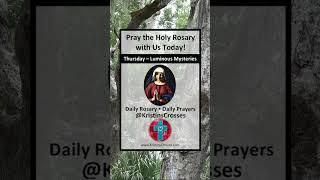 Pray the Holy Rosary with Us Today Honey Bee Hive - Thursday - Luminous Mysteries #shorts