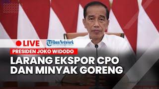 Presiden Jokowi Larang Ekspor CPO dan Minyak Goreng Berikut Alasannya