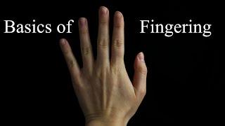 Basics of Fingerings Nature of our fingershands