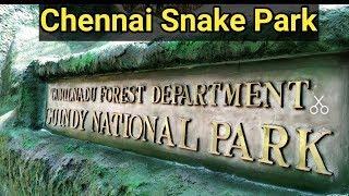 Snake Park ChennaiGuindy National ParkIndias first reptile park in ChennaiTamil Nadu