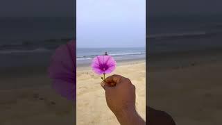 ️ Love Proposing a girl on beach let see what happens