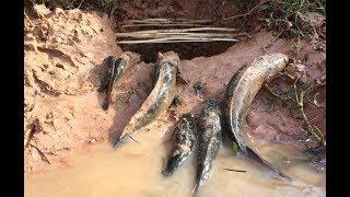 Amazing How To Catch Many Fishes Using Deep Hole