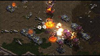 DROP THOSE ULTRAS herO  Z Rush  T on Polypoid - StarCraft - Brood War Remastered