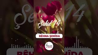 Şehid 14  Bêhna Şehîda  Veysi Hiçyılmaz  Özlem Ajans   #ilahi #müzik #reels