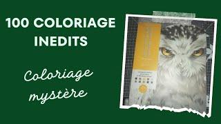 { flip through} 100 COLORIAGES INEDITS coloriage mystère