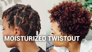 Moisturized Twistout