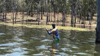 Surprise barra at Eungella Dam