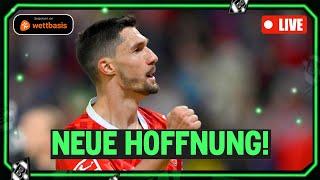 Kleindienst Stöger & Sander🟢 Borussias-Transfers in der Analyse Neue Hoffnung? @wettbasis