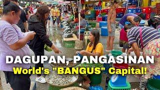 Downtown DAGUPAN CITY PANGASINAN  Explore the Streets Food Markets of Dagupan Philippines