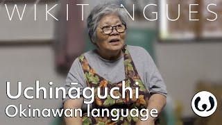The Okinawan language casually spoken  Gijs and Takako speaking Uchinaaguchi  Wikitongues