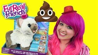 Kami My Poopin Kitty FurReal Friends Cat Eats & Poops  TOY REVIEW  KiMMi THE CLOWN