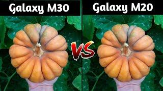 Samsung Galaxy M30 VS Samsung Galaxy M20 Camera Test Comparison Which is Better Mobile Galaxy M30