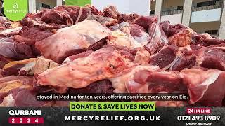 Sheikh Alaa - Qurbani Time is Now  Donate from £25