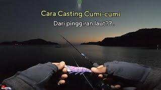 Bagaimana Cara Mancing Cumi-cumi dari Pinggiran Laut? Squid Fishing  Eging.