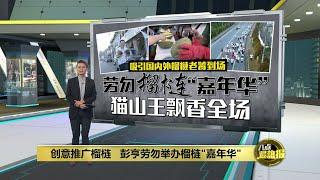 劳勿举办榴梿“嘉年华”   吸引国内外榴莲老饕齐聚一堂  八点最热报 11082024