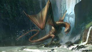 Dungeons & Dragons Lore What are Wyverns?