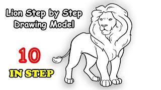 Step by Step Lion Drawing Model for Everyone Draw a Lion 