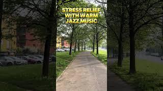 Stress Relief with Warm Jazz Music  Smooth Jazz Songs #smoothjazz #jazzsongs #stressrelief