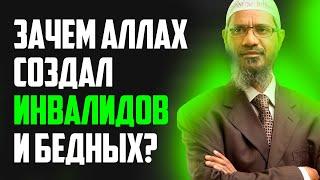 Если Аллах справедлив то зачем он создал бедных и инвалидов чтобы они страдали? - Закир Найк