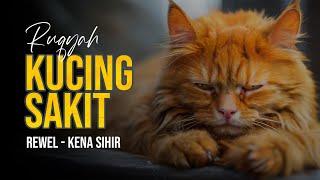 RUQYAH KUCING SAKIT REWEL KENA SIHIR