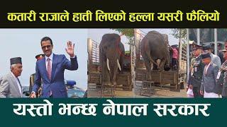 कतारका राजालाई उपहार दिने हात्ती चितवनमा । Nepal presents 2 elephants to Qatar  qatar king  nepal