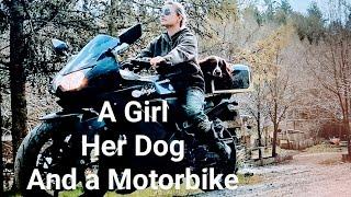 Girl and her Dog Ride Motorbike  English Springer Spaniel trained with Kawasaki Ninja and Rex Specs