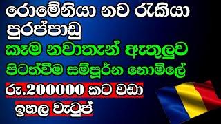 jobs in sri lanka  new job vacancy  job vacancy 2023  sinhala sri lanka