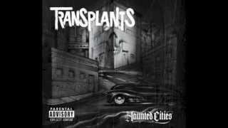 American Guns - Transplants