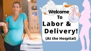 Hospital Tour  WELCOME to Labor and Delivery