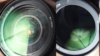 Canon 24-105 lens fungus cleaning