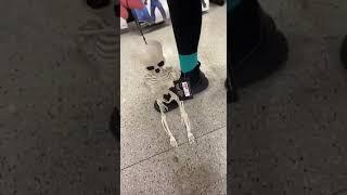 Spirit Halloween Skeleton