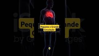 Melhor Short sobre Pequena e Grande circulação #medicina #biologia #sistemacardiovascular