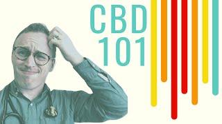 CBD Oil 101 Doctor Explains for ABSOLUTE beginners