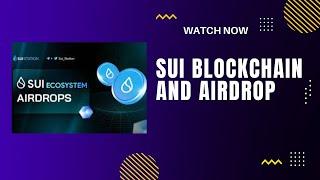 WHAT IS SUI BLOCKCHAIN? HOW TO CLAIM SUI AIRDROPS AND NFTS