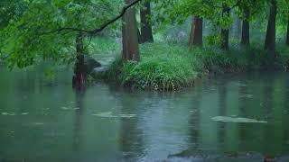 The beautiful little river is raining223  sleep relax meditate study work ASMR