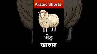 How can you say animals name in arabic language. Dodcowcamelhorse etc  KAKSHA ARABIC 