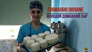 Formaggio Giovane  Молодой домашний Сыр  Сырные Бачонки  Как сделать Сыр в домашних условиях